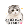 tray_icon #130912 sticker_pack