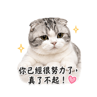 tray_icon