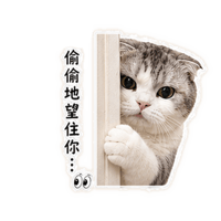 sticker image #25