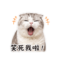 sticker image #4