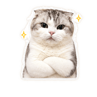 tray_icon
