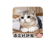 sticker image #16