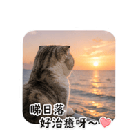 sticker image #7