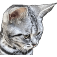 sticker image #15