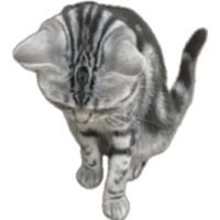 sticker image #17