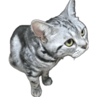 sticker image #21