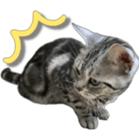 sticker image #23