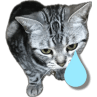 sticker image #25