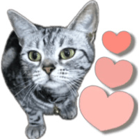 sticker image #30