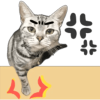 sticker image #4