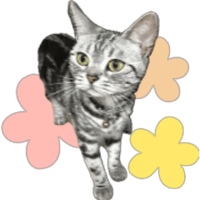 sticker image #6