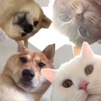 sticker image #12