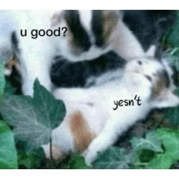 sticker image #17