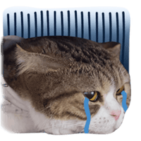 sticker image #23