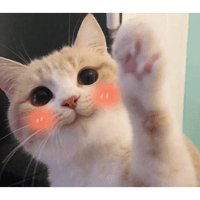 sticker image #24