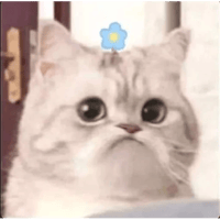 sticker image #25
