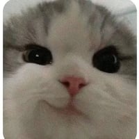 sticker image #26