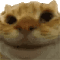 sticker image #1