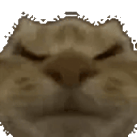 sticker image #3