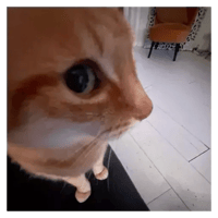 sticker image #29