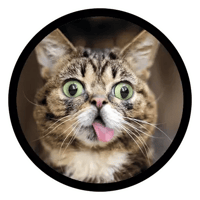 sticker image #10