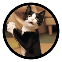 sticker image #11