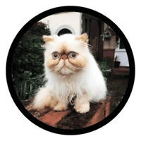 sticker image #15