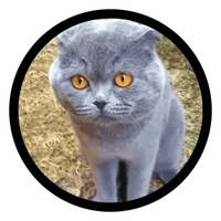 sticker image #16