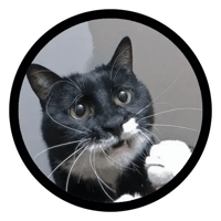 sticker image #19