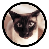 sticker image #21