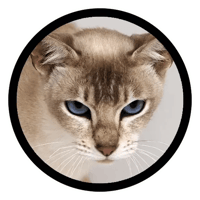 sticker image #5