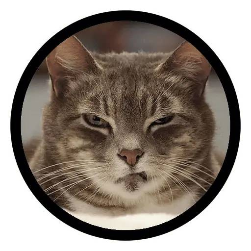 tray_icon #119166 sticker_pack