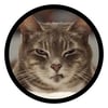 tray_icon #119166 sticker_pack
