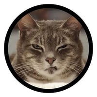 tray_icon