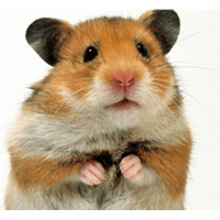 sticker image #11
