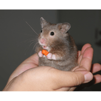 sticker image #15
