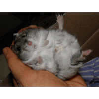 sticker image #16