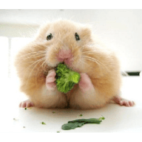 sticker image #20