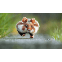 sticker image #22
