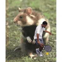 sticker image #23