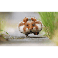 sticker image #24