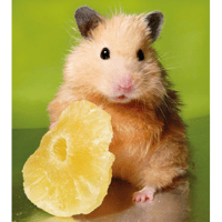 sticker image #26