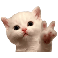 sticker image #12