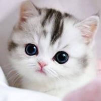 sticker image #20