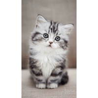 sticker image #21