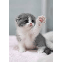sticker image #22