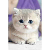 sticker image #23