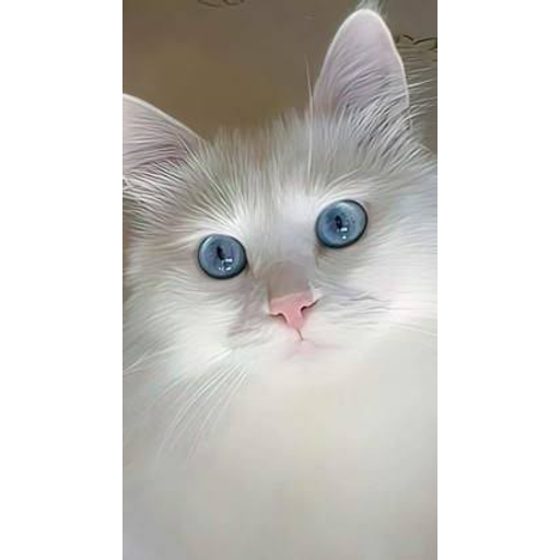 tray_icon #127288 sticker_pack