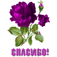 sticker image #11