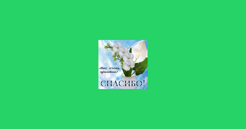 Sticker Maker - Спасибо 5